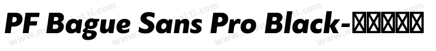 PF Bague Sans Pro Black字体转换